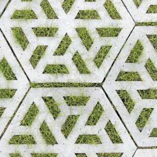 Grass Pavers