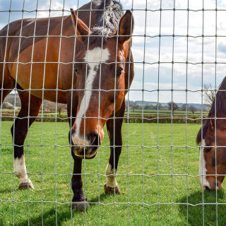 Horse Fencing