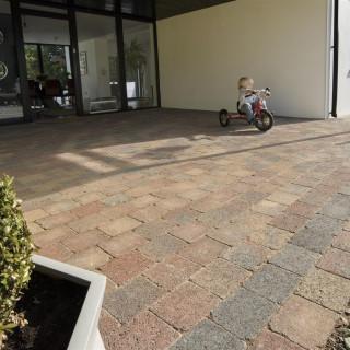 Tegula