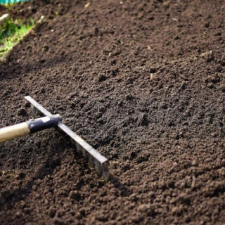 Soil
