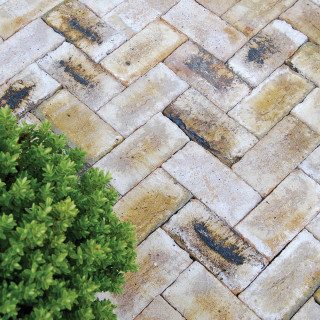 Clay Paver Collection