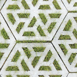Schellevis Grass Paver Hexagon Grey
