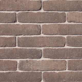 Vande Moortel Ancienne Belgique 7 Camel