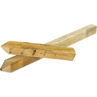 Wooden Pegs Green