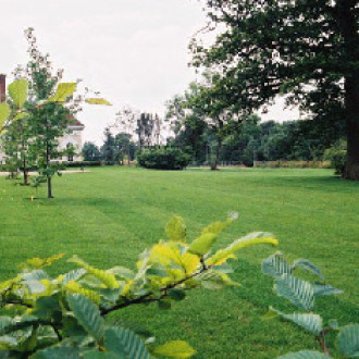 Sovereign Regal Turf 2' x 5'5" Roll per M²