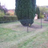 Chain Link Fence Green