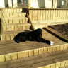 Pattern D Decking