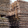 Hazel Hurdle Full Branch 180 x 180cm