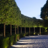 In-Lite ACE Dark Grey Bollard Light 205mm