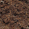Mushroom Compost