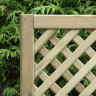 Privacy Lattice Trellis