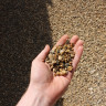 Flint Shingle