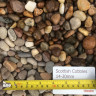 Scottish Pebbles & Cobbles 
