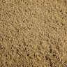 Top Dressing