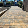Tobermore Pedesta Bracken